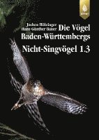 bokomslag Die Vögel Baden-Württembergs Bd. 2.1.2: Nicht-Singvögel 1.3