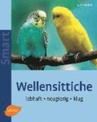 Wellensittiche 1