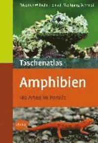 bokomslag Taschenatlas Amphibien