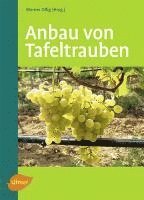 bokomslag Anbau von Tafeltrauben