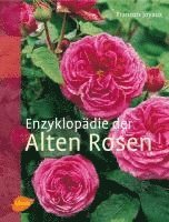 bokomslag Enzyklopädie der Alten Rosen