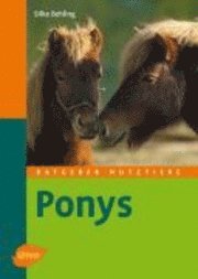 Ponys 1