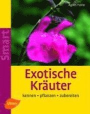 bokomslag Exotische Kräuter