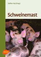 bokomslag Schweinemast