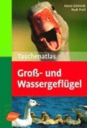 bokomslag Taschenatlas Groß- und Wassergeflügel