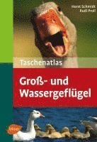 Horst Schmidt, Rudi Proll - Taschenatlas Groß- und Wassergeflügel, Häftad