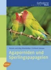 bokomslag Agaporniden und Sperlingspapageien