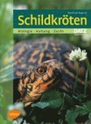bokomslag Schildkröten
