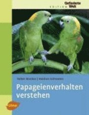 Papageienverhalten verstehen 1