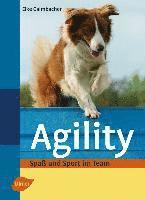 bokomslag Agility