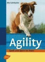 bokomslag Agility