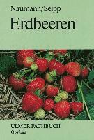 bokomslag Erdbeeren