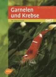 Garnelen und Krebse im Aquarium 1