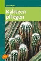 Kakteen pflegen 1