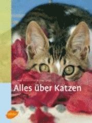 bokomslag Alles über Katzen