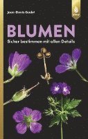 bokomslag Blumen