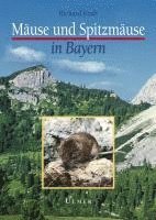 bokomslag Mäuse und Spitzmäuse in Bayern