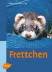 bokomslag Frettchen