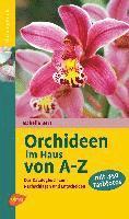 bokomslag Orchideen im Haus von A - Z