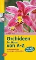 bokomslag Orchideen im Haus von A - Z