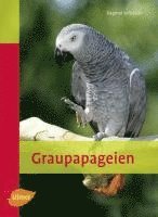 bokomslag Graupapageien