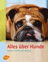 bokomslag Alles über Hunde