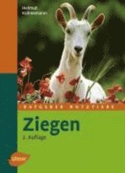 Ziegen 1