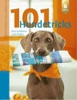 bokomslag 101 Hundetricks