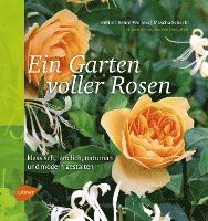 bokomslag Ein Garten voller Rosen