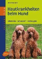 bokomslag Hautkrankheiten beim Hund