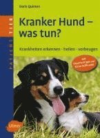 Kranker Hund - was tun?