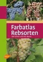 bokomslag Farbatlas Rebsorten