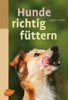 bokomslag Hunde richtig füttern