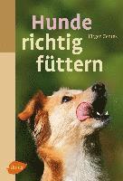 Hunde richtig füttern 1