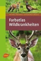 bokomslag Farbatlas Wildkrankheiten