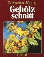 bokomslag Gehölzschnitt