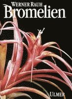 bokomslag Bromelien