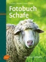 bokomslag Fotobuch Schafe