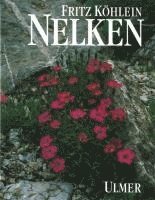 Nelken 1