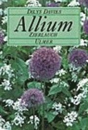 bokomslag Allium, Zierlauch