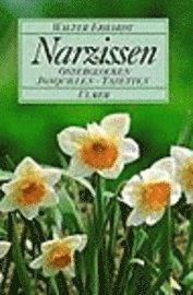 Narzissen 1