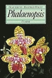 bokomslag Phalaenopsis