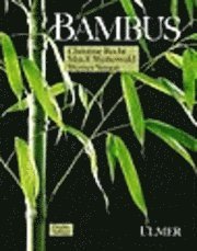 Bambus 1