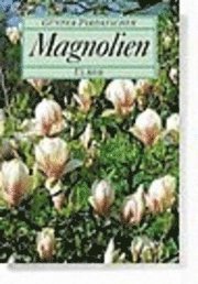 bokomslag Magnolien