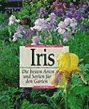 Iris 1