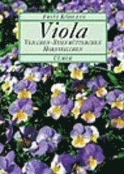 Viola 1