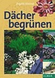 Dächer begrünen 1