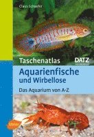 bokomslag Taschenatlas Aquarienfische und Wirbellose