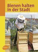 bokomslag Bienen halten in der Stadt