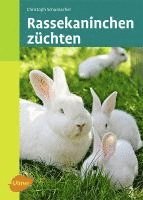 bokomslag Rassekaninchen züchten